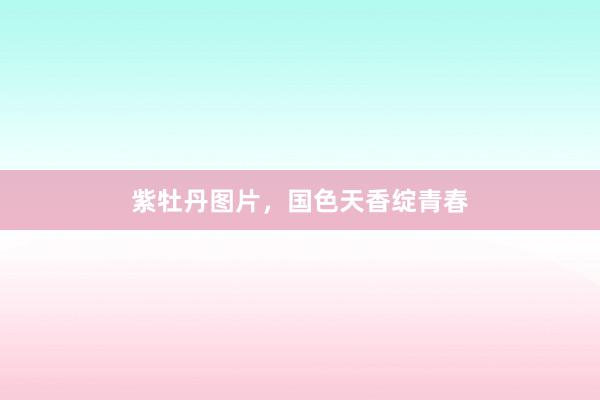 紫牡丹图片，国色天香绽青春
