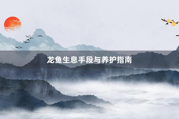 龙鱼生息手段与养护指南