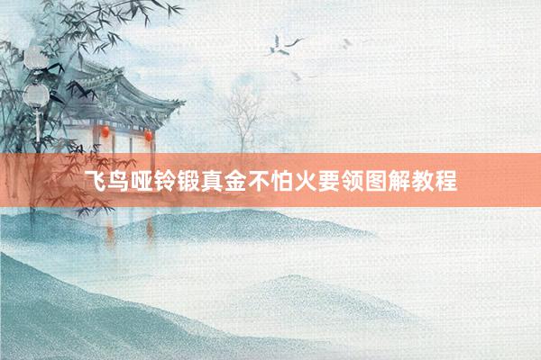 飞鸟哑铃锻真金不怕火要领图解教程